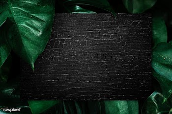 Black board with leaves | Free stock psd mockup - 599794