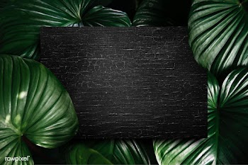 Black board with leaves | Free stock vector - 599799