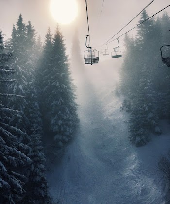 Black Cable Cars Near Above Trees in Foggy Day