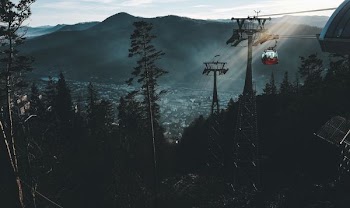 black cable vehicle near trees during daytime