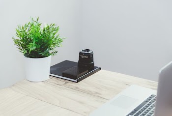 black camera on table near green plant on pot inside the room