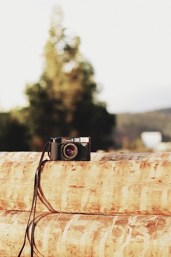 Black Camera on Wood