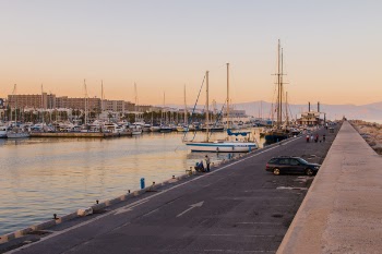 Black Car Near Body of Water With Boats on Harbor Dock