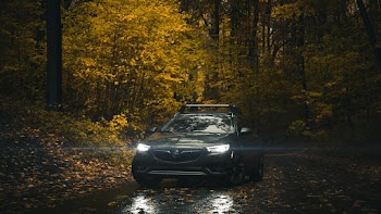 Black Car on Road Near Forest