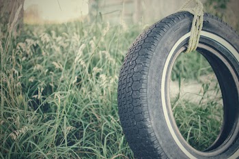 Black Car Tire Tie on Brown Rope Near to Green Plant during Daytime