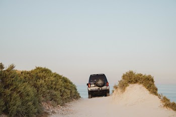 Black Car Traveling on Sand Ground Beside Green Plants