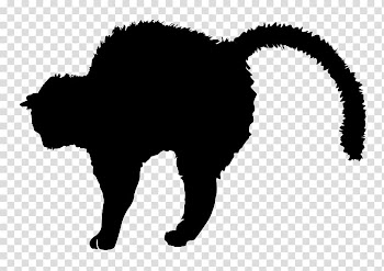 Black cat Black and white Silhouette , Cat transparent background PNG clipart