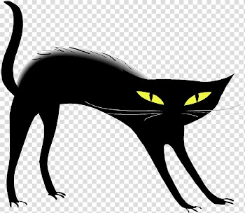 Black cat , Black Cat Pic transparent background PNG clipart
