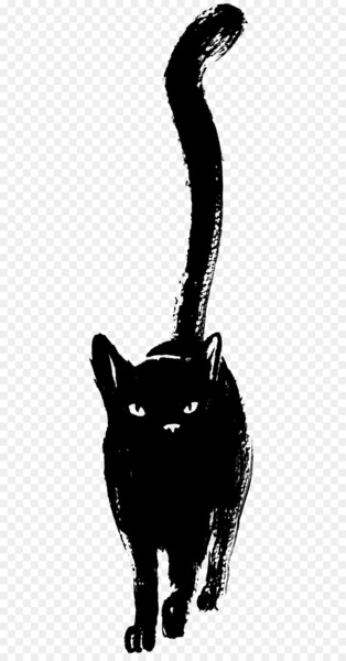 Black cat Black panther Drawing Sketch - Black Cat 