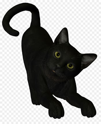 Black cat Boszorkxe1ny - witch cat 