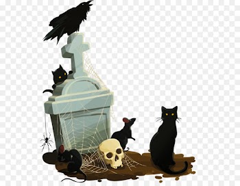 Black cat Calavera Halloween - Infiltration of the cemetery 