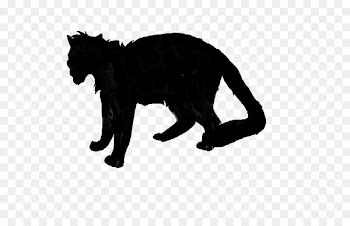 Black cat Dog Mammal Canidae -  