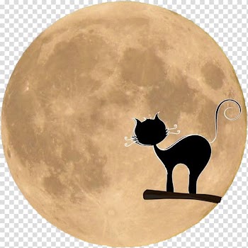 Black cat Dog , moon transparent background PNG clipart