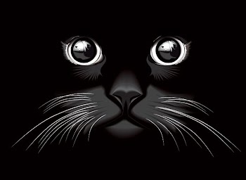 Black Cat Eyes Vector Background (Free)