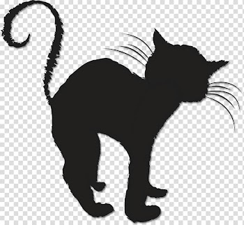 Black cat Friday the 13th Kitten Whiskers , kitten transparent background PNG clipart