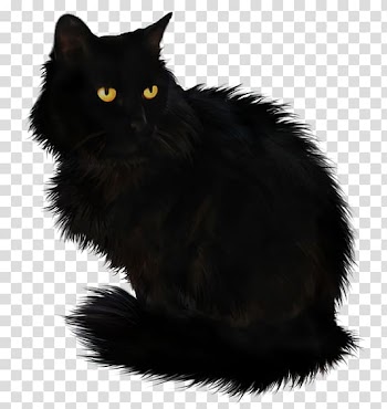 Black cat , gif transparent background PNG clipart