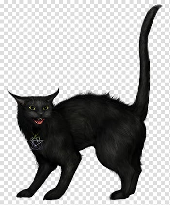 Black cat , Halloween Black Cat transparent background PNG clipart