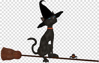 Black cat Halloween , Cat transparent background PNG clipart