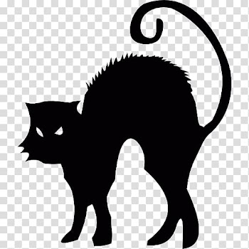 Black cat Halloween , Cat transparent background PNG clipart