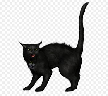 Black cat Halloween Clip art - Creepy Black Cat PNG Picture 