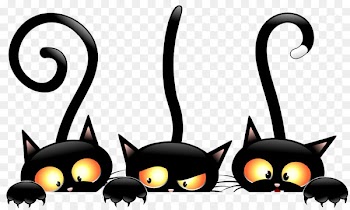 Black cat Halloween Clip art - Witch Cat 