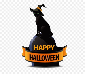 Black cat Halloween costume - Black Cat 
