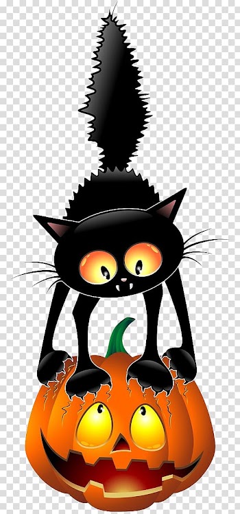 Black cat Halloween , Halloween Cat transparent background PNG clipart