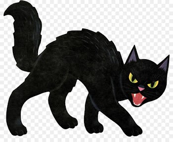 Black cat Halloween Kitten Clip art - Witch Cat 