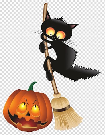 Black cat Halloween Kitten , Witch Cat transparent background PNG clipart