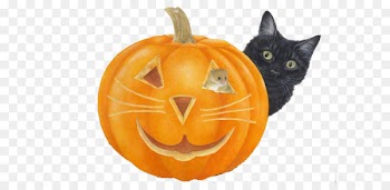 Black cat Halloween Pumpkin Jack-o'-lantern - Halloween pumpkin 