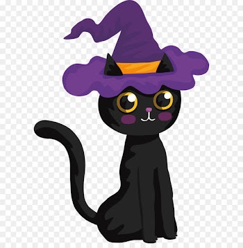 Black cat Halloween Witch - Lovely Halloween Black Cat 