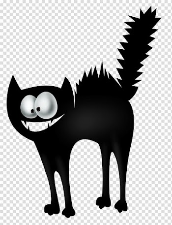 Black cat Halloween Witchcraft, Witch Cat transparent background PNG clipart