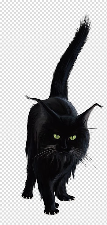 Black cat Kitten , Black Cat transparent background PNG clipart