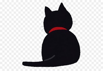 Black cat Kitten Cat Food Instagram - cat 