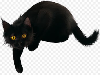 Black cat Kitten Clip art - cats 