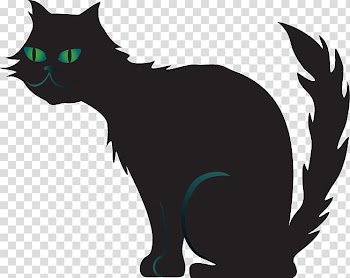 Black cat Kitten Domestic short-haired cat Whiskers, kitten transparent background PNG clipart