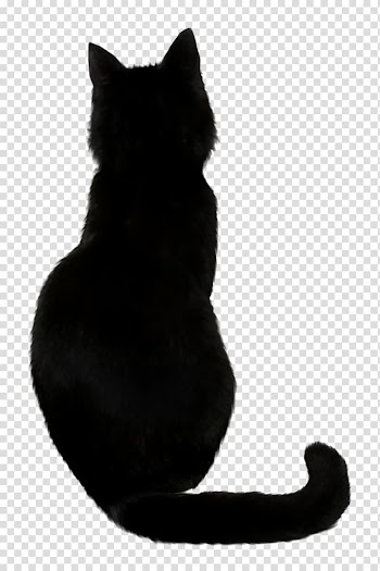 Black cat Kitten Drawing, Cat transparent background PNG clipart