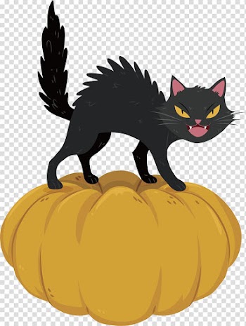 Black cat Kitten Euclidean , Fried black cat transparent background PNG clipart