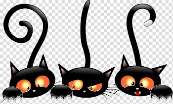 Black cat Kitten Halloween , cats transparent background PNG clipart
