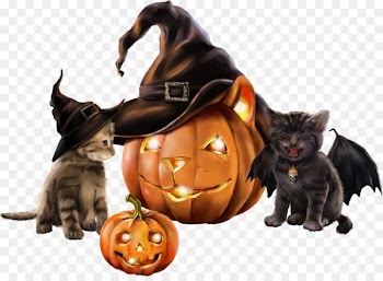 Black cat Kitten Halloween witch - kitten 