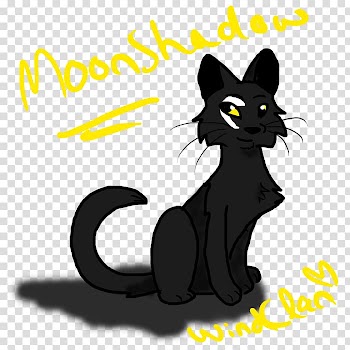 Black cat Kitten , Of Black Cats With Green Eyes transparent background PNG clipart