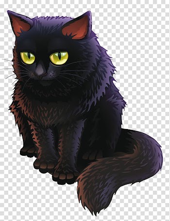 Black cat Kitten Persian cat , kitten transparent background PNG clipart
