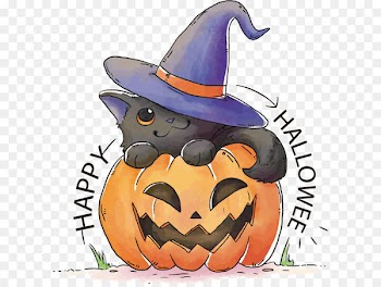 Black cat Kitten T-shirt Halloween - Lovely hand-painted pumpkin 