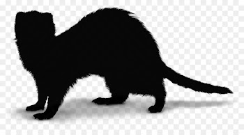 Black cat Kitten Whiskers Dog -  