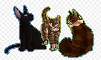 Black cat Kitten Whiskers Sphynx cat Bombay cat - kitten 