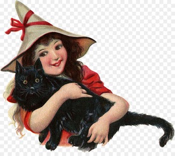 Black cat Kitten witch Halloween - cute Fairy 