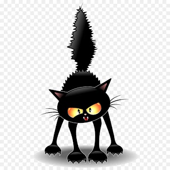 Black cat Kitten Witchcraft - Frightened cat 