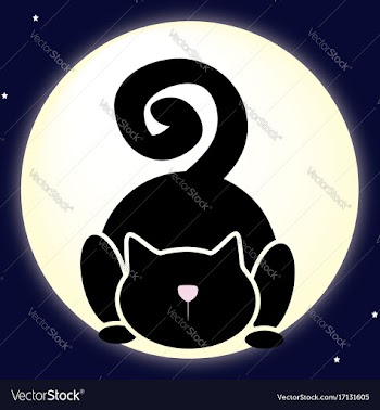 Black cat on the moon vector image