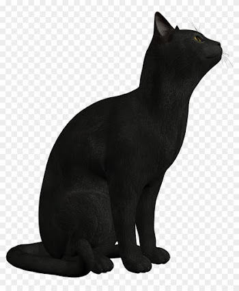 Black Cat Png Clipart 552 - Black Cat Png