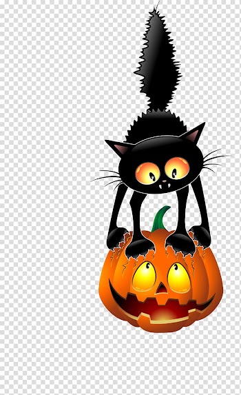 Black cat Pumpkin , pumpkin transparent background PNG clipart